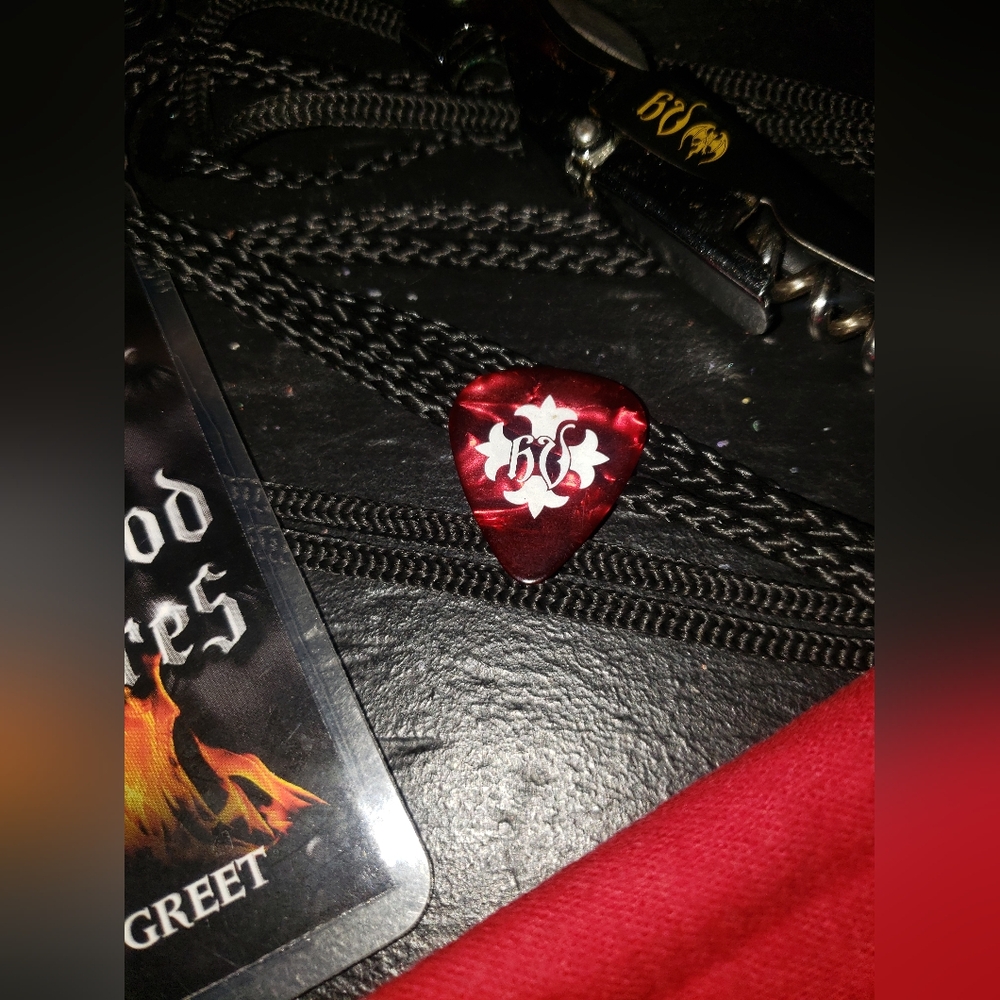 Hollywood Vampires 2016 Tour Guitar Pick